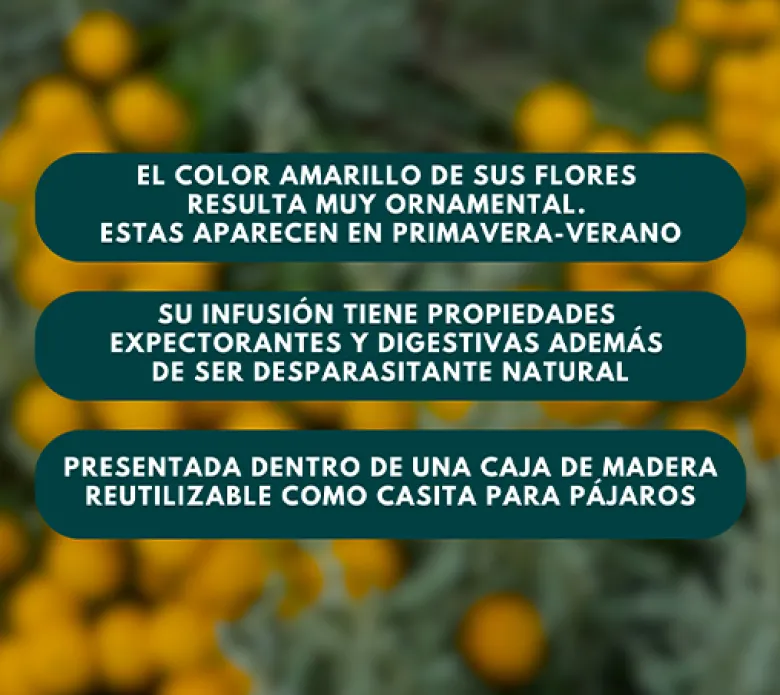 Abrótano