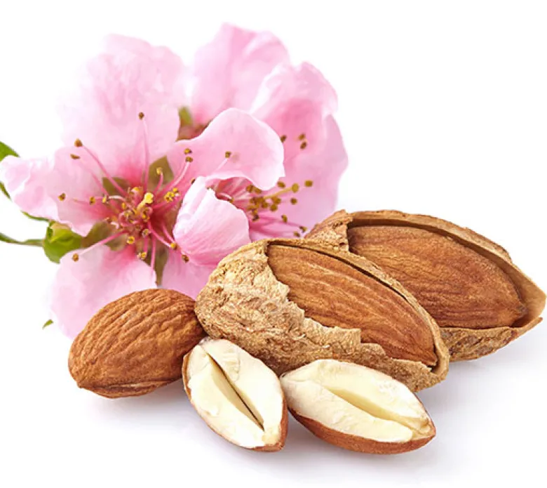 Almendro