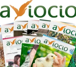 AVIOCIO - Pack de revistas