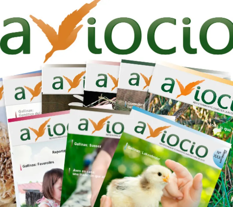 AVIOCIO - Pack de revistas