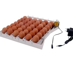 Bandeja volteo automático de huevos