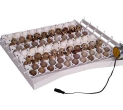 Bandeja volteo automático de huevos
