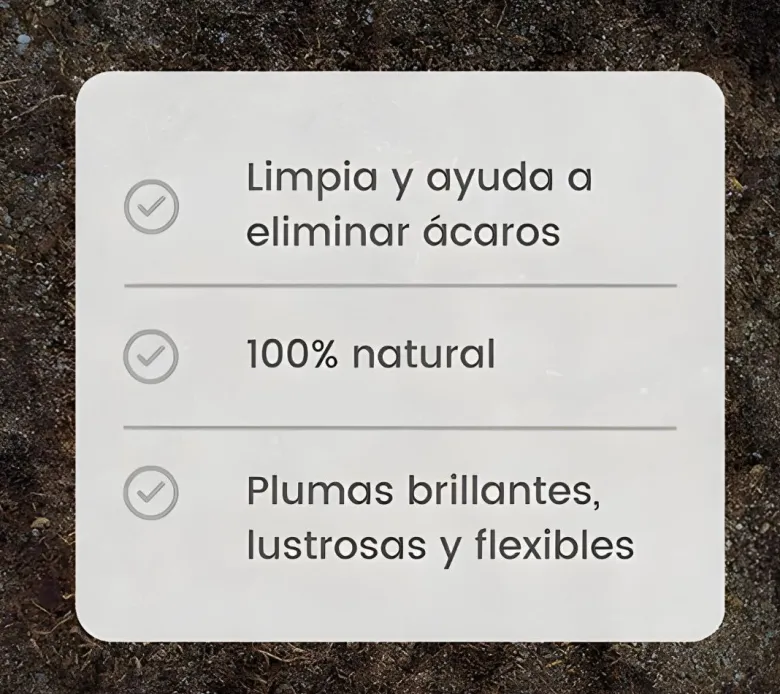 Baño de arena para aves de corral