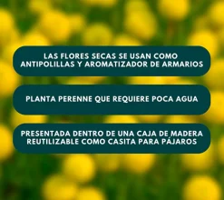 Botonera