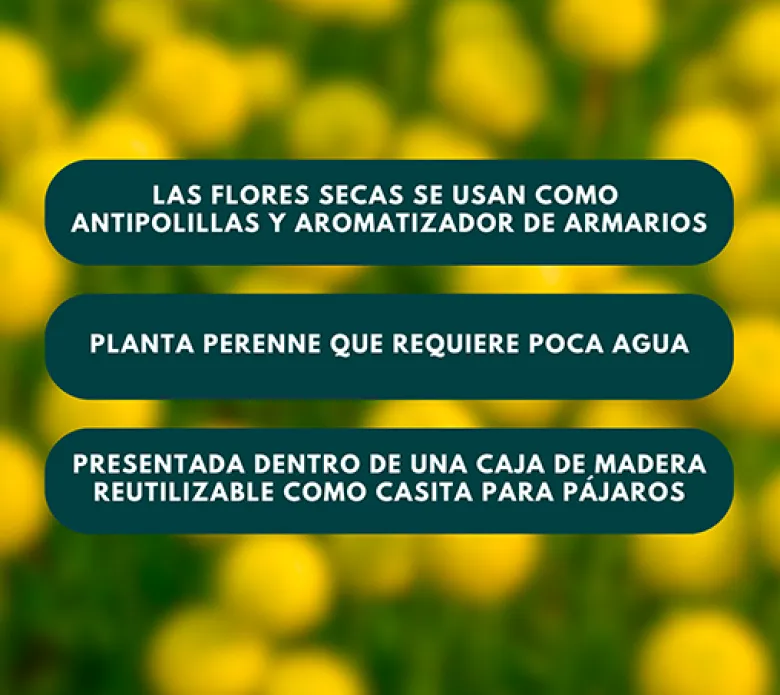 Botonera