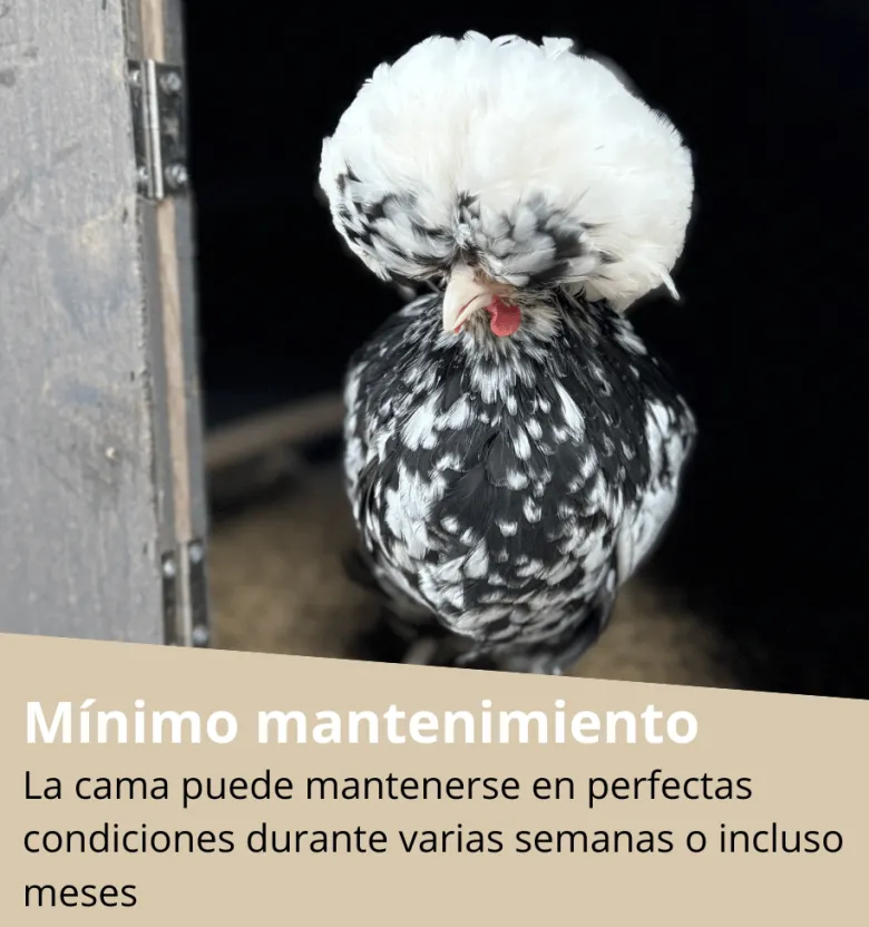 Cama para aves con tabaco