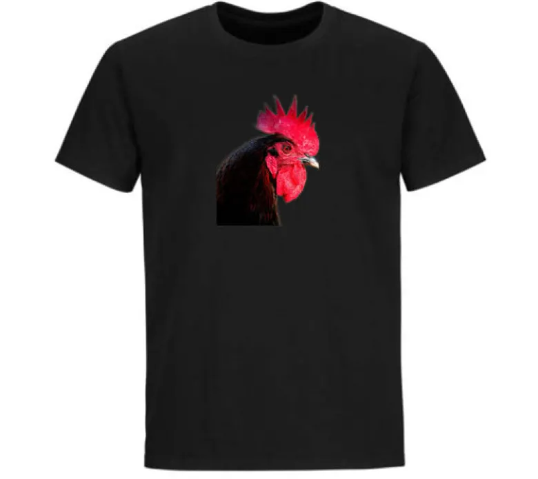 Camiseta Gallo