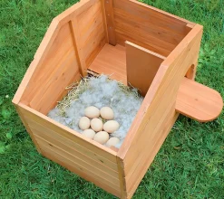 Caseta de patos de madera