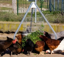 Cesta rectangular para hierba