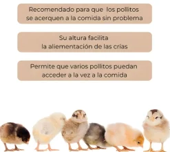 Comedero pollitos - Primera edad