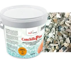 ConchillaPlus
