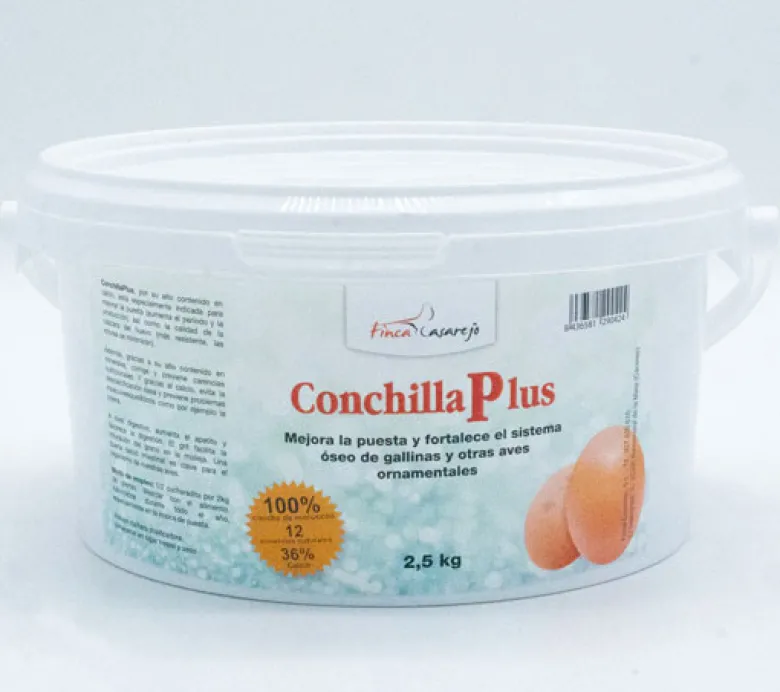 ConchillaPlus