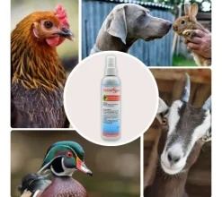 DesinfSpray