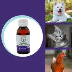 Emulsión de lavanda