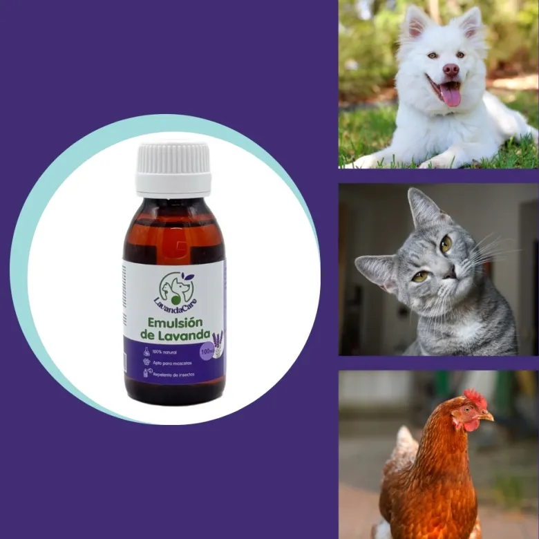 Emulsión de lavanda