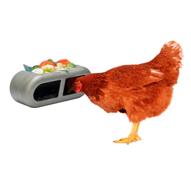 Feeder