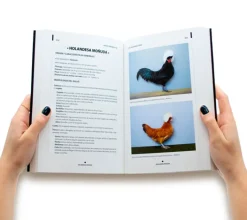 Gallinas enanas de raza