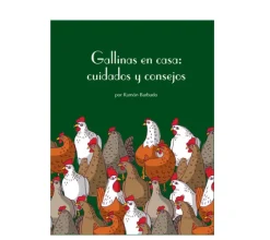 Gallinas en casa: cuidados y consejos