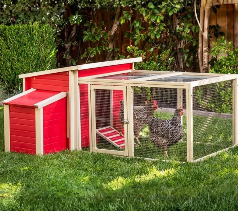 Gallinero Dallas con parque