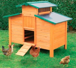 Gallinero Ottawa