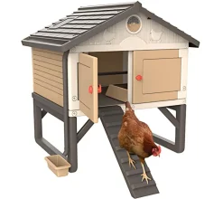 Gallinero para niños