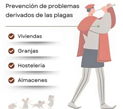 Hamelin