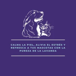 Hidrolato de lavanda