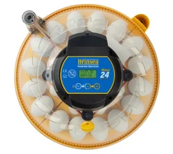 Incubadora Brinsea Maxi 24 Advance
