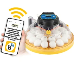 Incubadora Brinsea Maxi 24 Connect