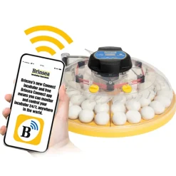 Incubadora Brinsea Maxi 48 Connect