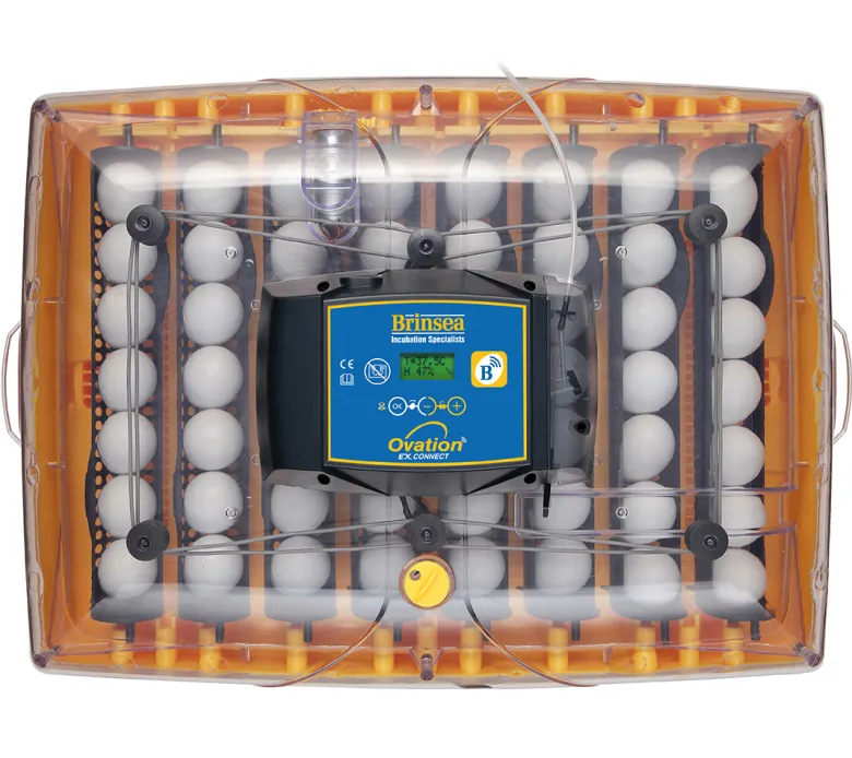 Incubadora Brinsea Ovation 56 Connect