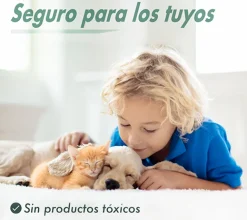 Jaula trampa ratas