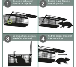 Jaula trampa ratas