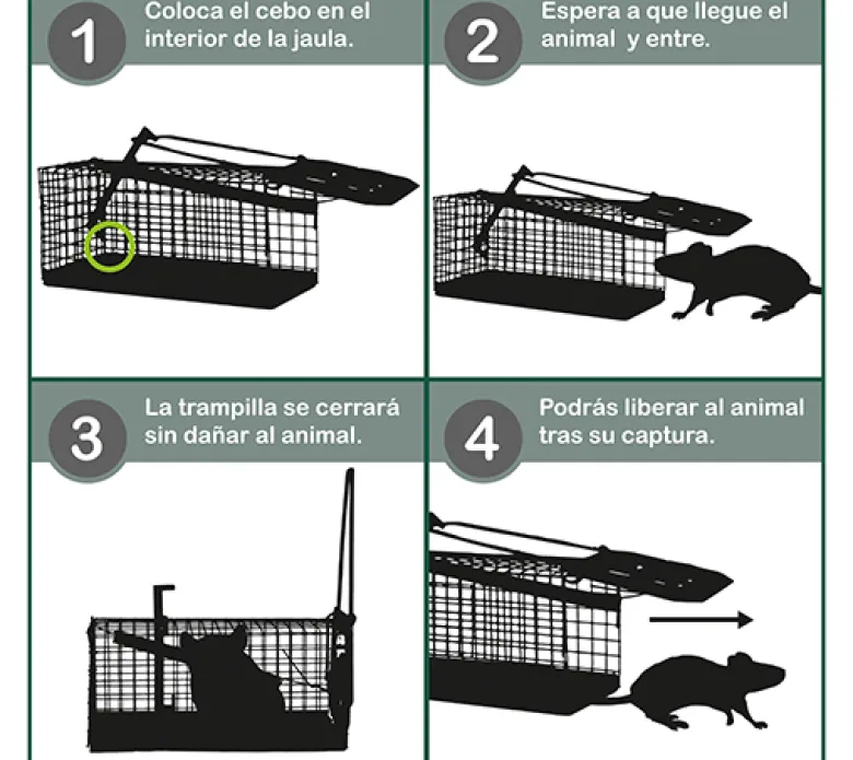Jaula trampa ratones