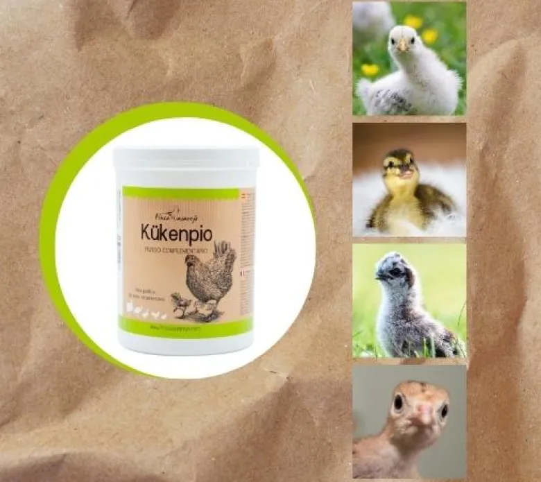 Kükenpío