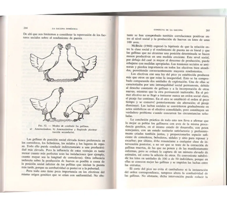 La gallina: nociones de fisiozootecnia