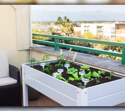 Mesa de cultivo