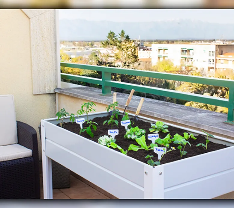 Mesa de cultivo