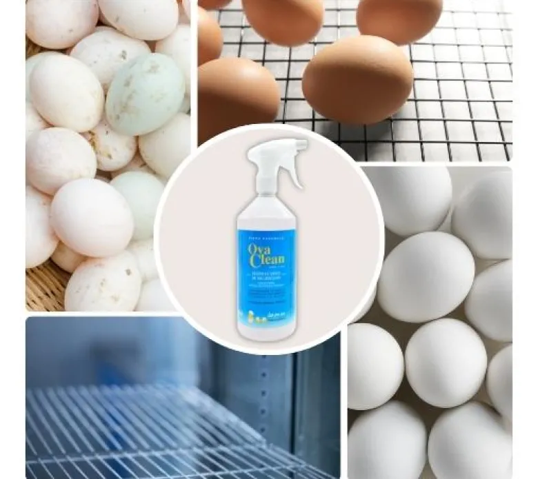 OvaClean Spray