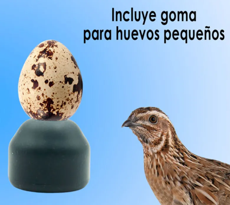 Ovoscopio LED