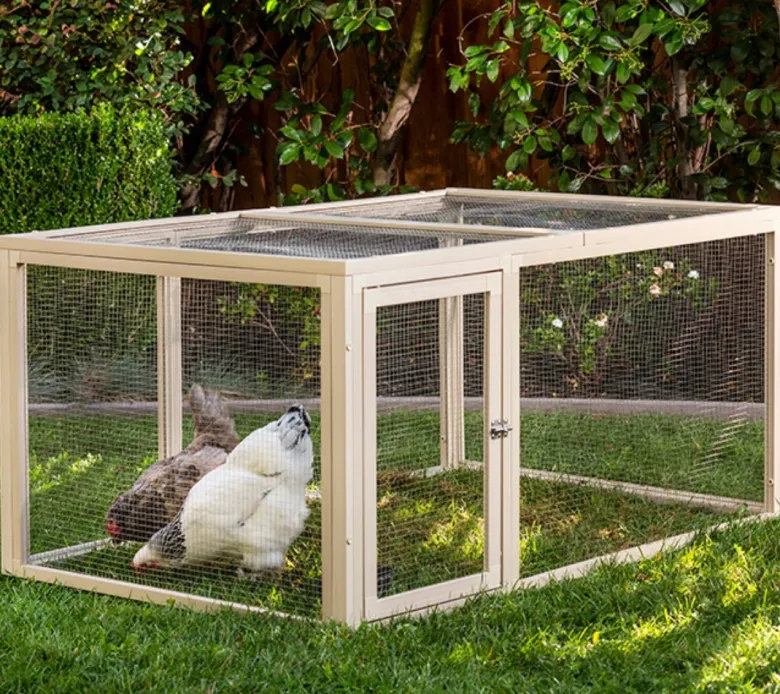 Parque para aves