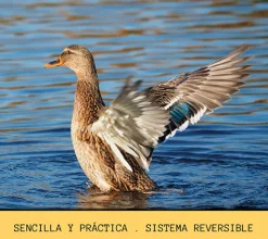Pinza evitavuelos