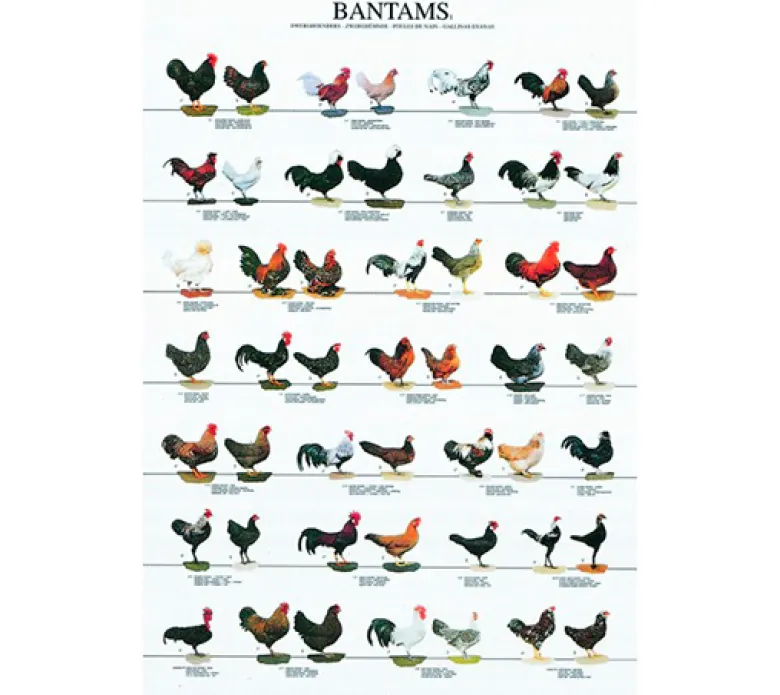 Posters