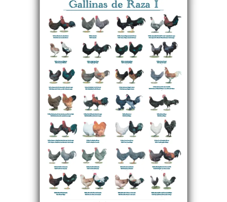 Posters