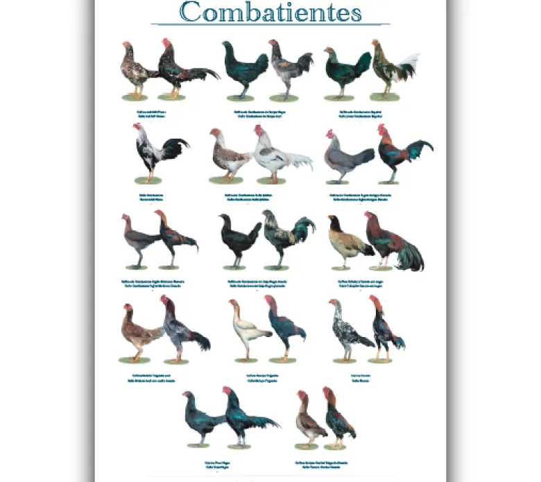 Posters