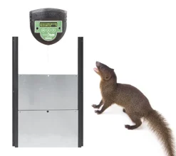 Puerta automática Chicksafe