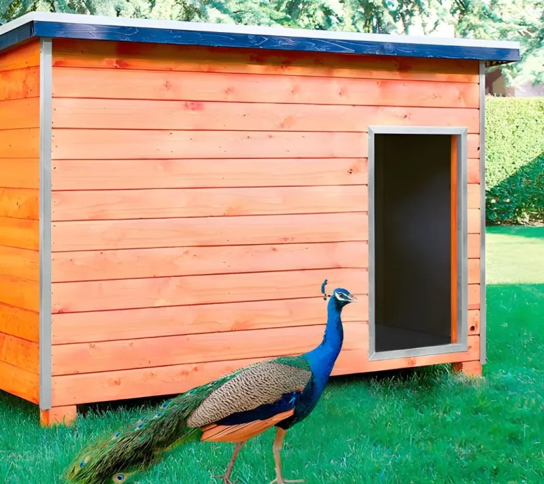 Refugio para animales