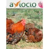 Revista AVIOCIO Nº34