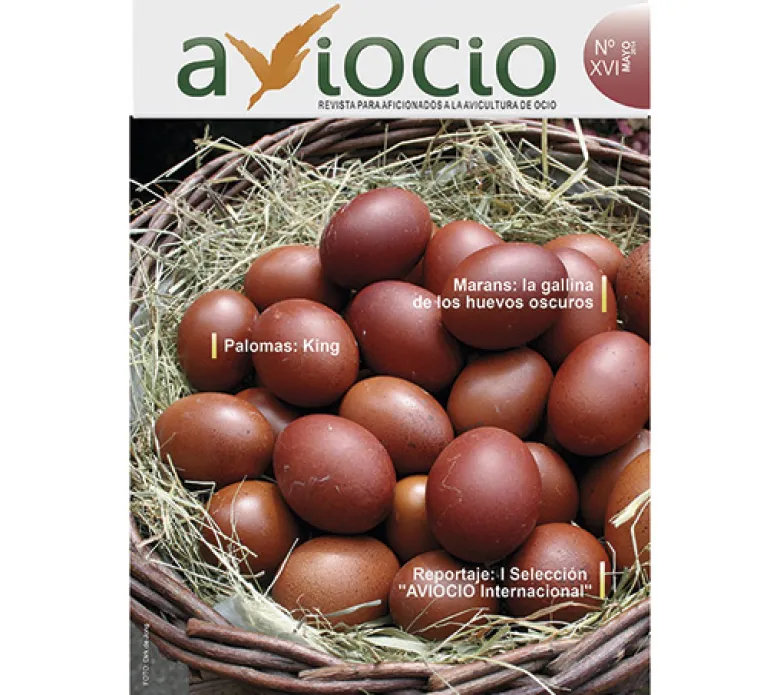 Revista AVIOCIO nº16