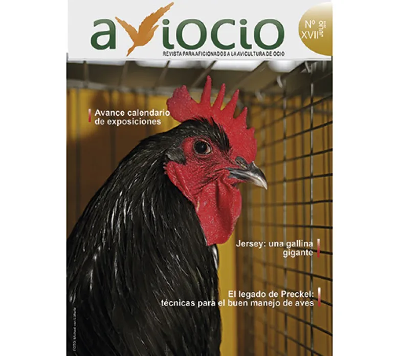 Revista AVIOCIO nº17